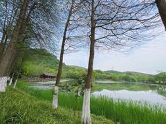 -八卦田遗址公园