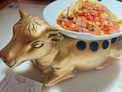 -佬肥猫(国华广场店)