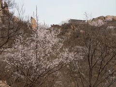 -北京凤凰岭