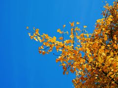 -苏州河梦清园环保主题公园