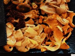 -蘑统田下·野生菌火锅