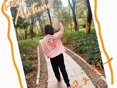 -龙井御庄·精致江南菜(龙井店)