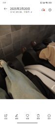 -罗亚帝造型·烫发染发