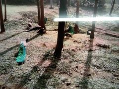 -合肥野生动物园
