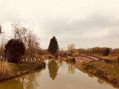 -白鹭湾湿地公园