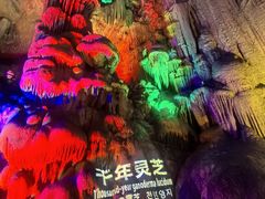 -金狮洞国家地质公园