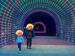 -南昌双子塔303观光厅
