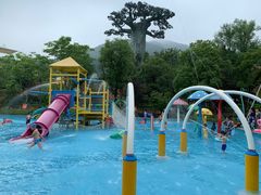 -苏州乐园森林水世界