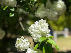 -上海滨江森林公园