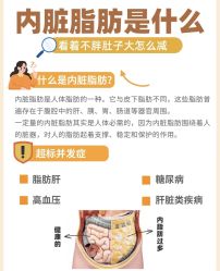 -Fundi张玉珊修身堂·indiba·BTL科技瘦身
