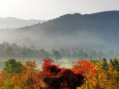 -塔川景区
