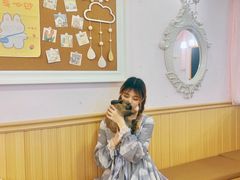 -猫猫幼稚园·撸猫·桌游·电玩