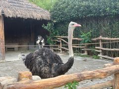 -上海野生动物园