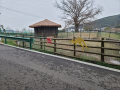 -苏州太湖西山岛开心农场