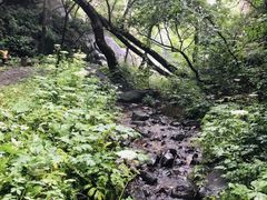 -灵山