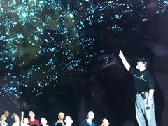 -怀托摩萤火虫洞