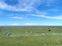 -青海湖国家重点风景名胜区