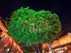-渔傅印象滩涂霞浦海鲜(井大路店)