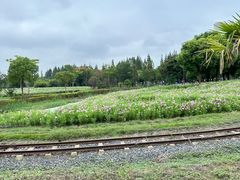 -歌斐颂巧克力小镇