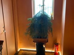 -霖公馆SPA·足道(普善路店)