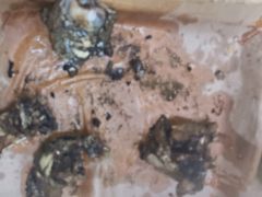 -活鱼馆(宜兴埠店)