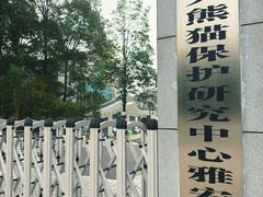 -中国大熊猫保护研究中心雅安碧峰峡基地