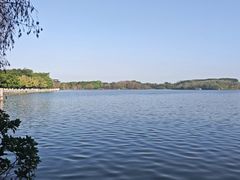 -海珠湖公园