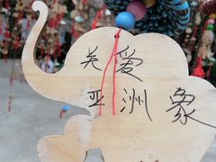 -野象谷景区