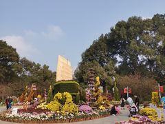 -南山植物园