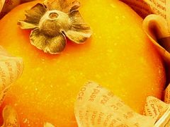 -聂发财重庆江湖菜(解放碑店)