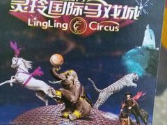 android_upload_pic-灵玲国际马戏城