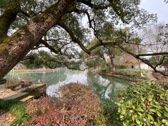 -西溪国家湿地公园