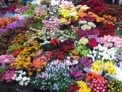 -双季花艺园艺市场(浦东店)