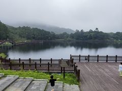 -海南热带雨林国家公园吊罗山景区