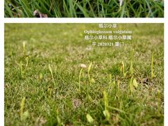 -筼筜书院