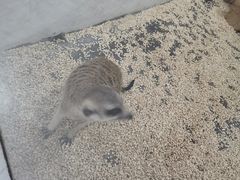 -海合安武汉极地海洋公园