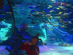 -沈阳海洋探索中心