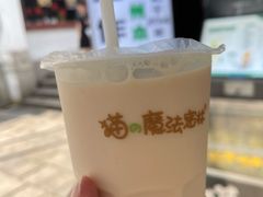 -猫的魔法密林(衣裳街店)