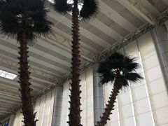 -温州龙湾国际机场