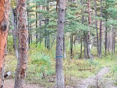 -帽儿山国家森林公园