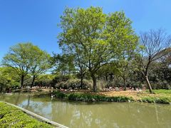 -上海野生动物园