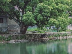 -鹿亭中村