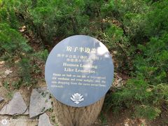 -陕西民俗大观园