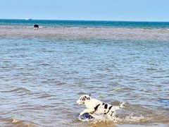-东戴河风景区-止锚湾