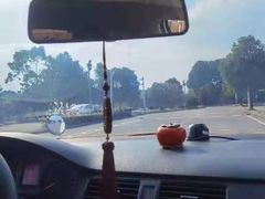 -无忧学车·华茂基地(宝山校区)