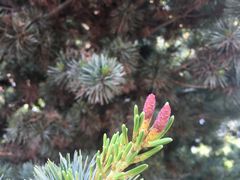 -白塘生态植物园