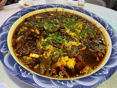 -新概念来凤鱼(璧山店)