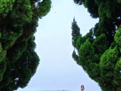 -小麦岛公园