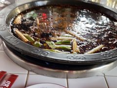 -费明中罗非鱼(大石坝店)