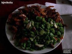 羊乳酪+虾-甲21号招待所